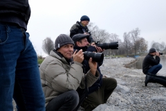 Vogelshooting_Manfred_Gasser (18) Vogelshooting_Manfred_Gasser (18)