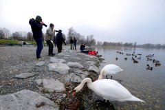 Vogelshooting_Manfred_Gasser (19) Vogelshooting_Manfred_Gasser (19)