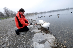 Vogelshooting_Manfred_Gasser (21) Vogelshooting_Manfred_Gasser (21)