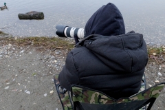 Vogelshooting_Manfred_Gasser (22) Vogelshooting_Manfred_Gasser (22)