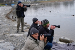 Vogelshooting_Manfred_Gasser (23) Vogelshooting_Manfred_Gasser (23)
