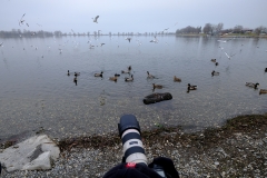 Vogelshooting_Manfred_Gasser (26)