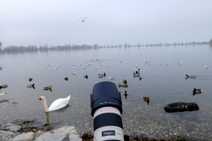 Vogelshooting_Manfred_Gasser (27)
