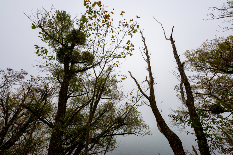 2210-Nebel-14