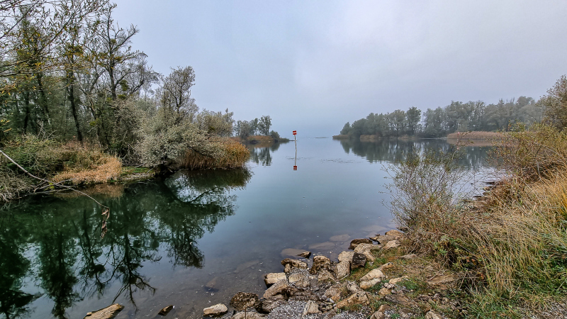 Fussach_Kurt-Lachner_2022-10-30104402