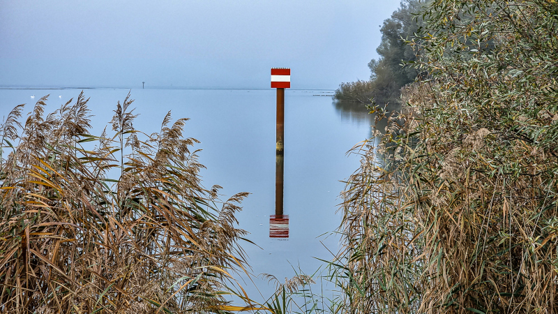 Fussach_Kurt-Lachner_2022-10-30104631