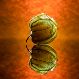 0090100017-Bearbeitet