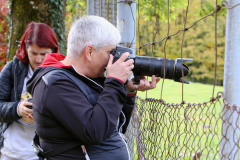 Wildpark_Schuler_Christine_2020-2