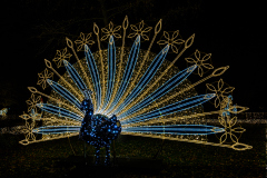 00007_Imperial-Lights-Schoenbrunn_Gerhard-Scheucher_08.-November-2025