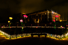 00014_Imperial-Lights-Schoenbrunn_Gerhard-Scheucher_08.-November-2025