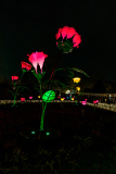 00015_Imperial-Lights-Schoenbrunn_Gerhard-Scheucher_08.-November-2025