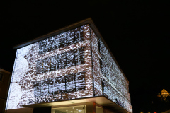 Lichtstadt-Feldkirch_ScheuGe_10.-Oktober-2025-10