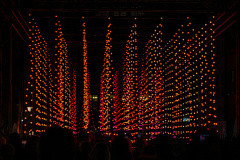 Lichtstadt-Feldkirch_ScheuGe_10.-Oktober-2025-5