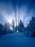 Winter-GerhardSch-2024-2