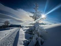 Winter-GerhardSch-2024-3