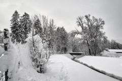 IMG_20210115_153135L