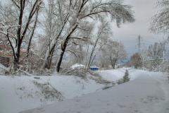 IMG_2511a