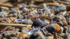 IMG_3596a