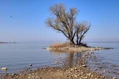IMG_3646a