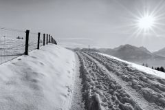 Schnee