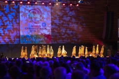 0022_Gymnaestrada-2019_Dank-an-Ehrenamt©Fototeam-Digital-2019