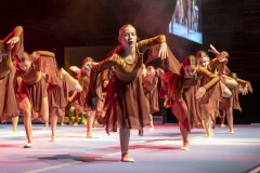 0035_Gymnaestrada-2019_Dank-an-Ehrenamt©Fototeam-Digital-2019