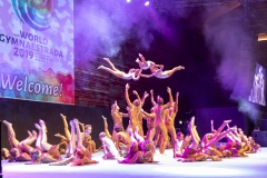 0065_Gymnaestrada-2019_Dank-an-Ehrenamt©Fototeam-Digital-2019 0065_Gymnaestrada-2019_Dank-an-Ehrenamt©Fototeam-Digital-2019