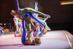 0157_Gymnaestrada-2019_Dank-an-Ehrenamt©Fototeam-Digital-2019
