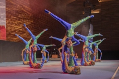 0162_Gymnaestrada-2019_Dank-an-Ehrenamt©Fototeam-Digital-2019 0162_Gymnaestrada-2019_Dank-an-Ehrenamt©Fototeam-Digital-2019