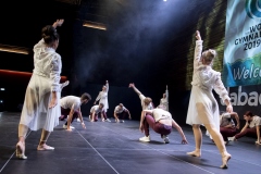 0423_Gymnaestrada-2019_Dank-an-Ehrenamt©Fototeam-Digital-2019