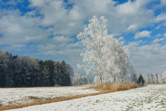 070_Raureif_HerbertKuzel