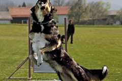 Agility