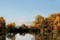 Schleienlöcher