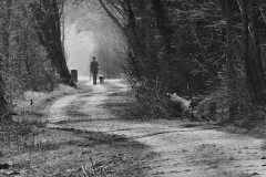 Morgenspaziergang