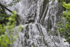 Thüringer Wasserfall