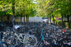 Klemens_Herbstmarkt-26_73