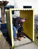 Fotoshooting_Hunde_Inatura-45