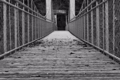 Ingrid Hämmerle (25)
