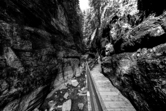 WalterDeMeijer_Kirchle-34