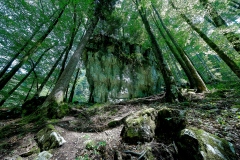 WalterDeMeijer_Kirchle-36