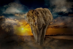 Namibia