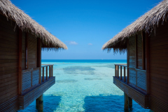 Michael Schöpflinger