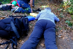 3f277d84-d46f-48bb-b8cc-fba88f526393