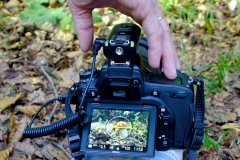 6f6bc4c4-4285-439b-9d50-e6c74df45aff