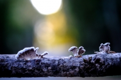 7ecb2100-0aea-49a4-9d8c-6f1bb26ec5b1