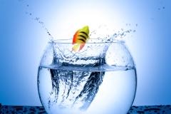 50448unbenannt© Fotoprofi DIGITAL 2016-4969-4974