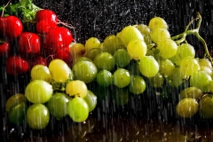 50769unbenannt© Fotoprofi DIGITAL 2016-4968