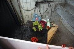 51679unbenannt© Fotoprofi DIGITAL 2016