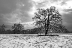 ErsterSchnee_RemoStechert_2018