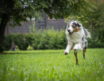 Rupert.Kolb_.Fotofuehrerschein-44